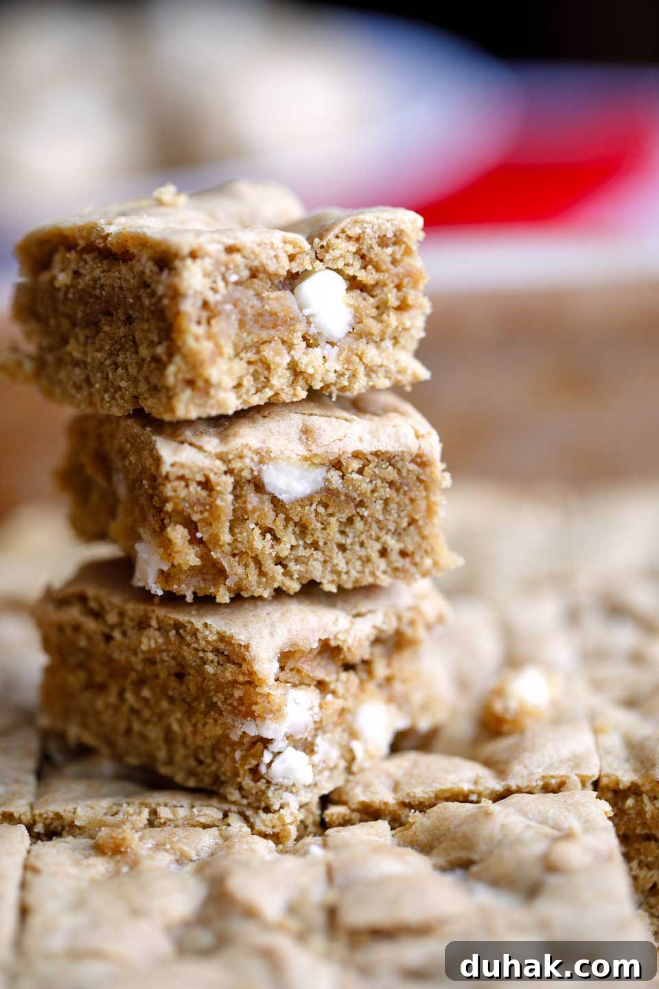 Peppermint White Chocolate Chickpea Blondies — Gluten-Free Treat 7 img 23621 12