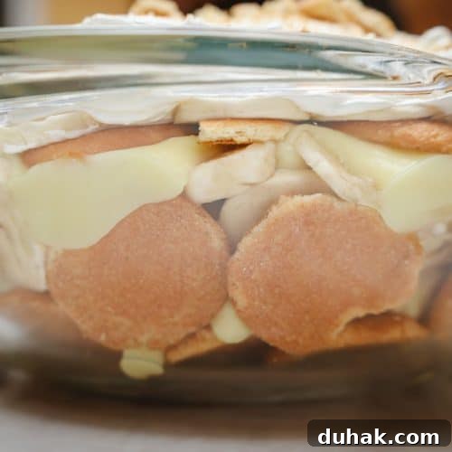 Top Modern Soul Food Recipes You’ll Love 17 Southern Banana Pudding Recipe With Instant Pudding