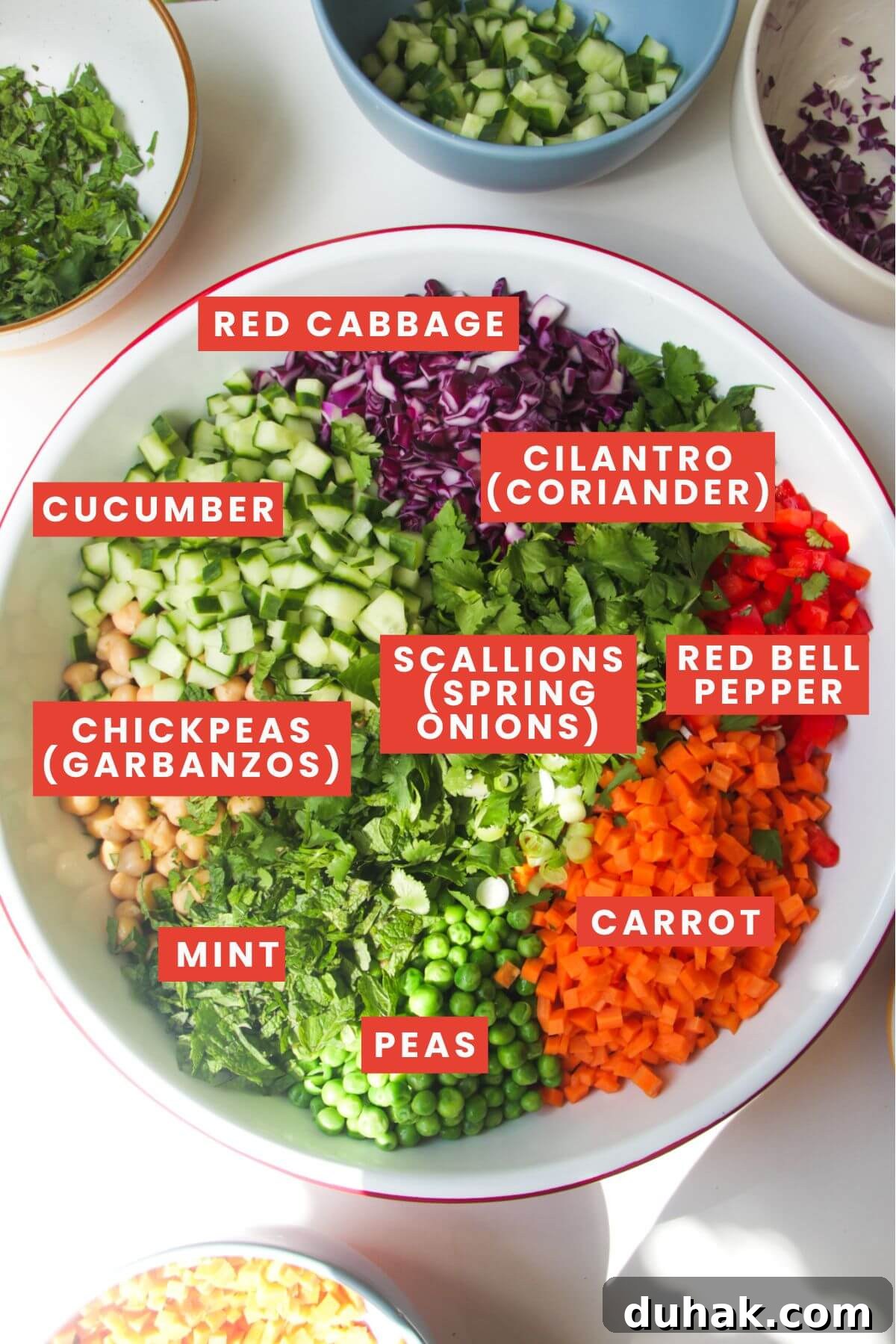 Chopped vegetables in a large white mixing bowl with bowls of more vegetables on the side, labelled with their names.