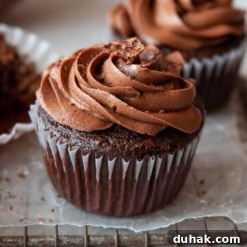 super moist gluten-free double chocolate cupcakes
