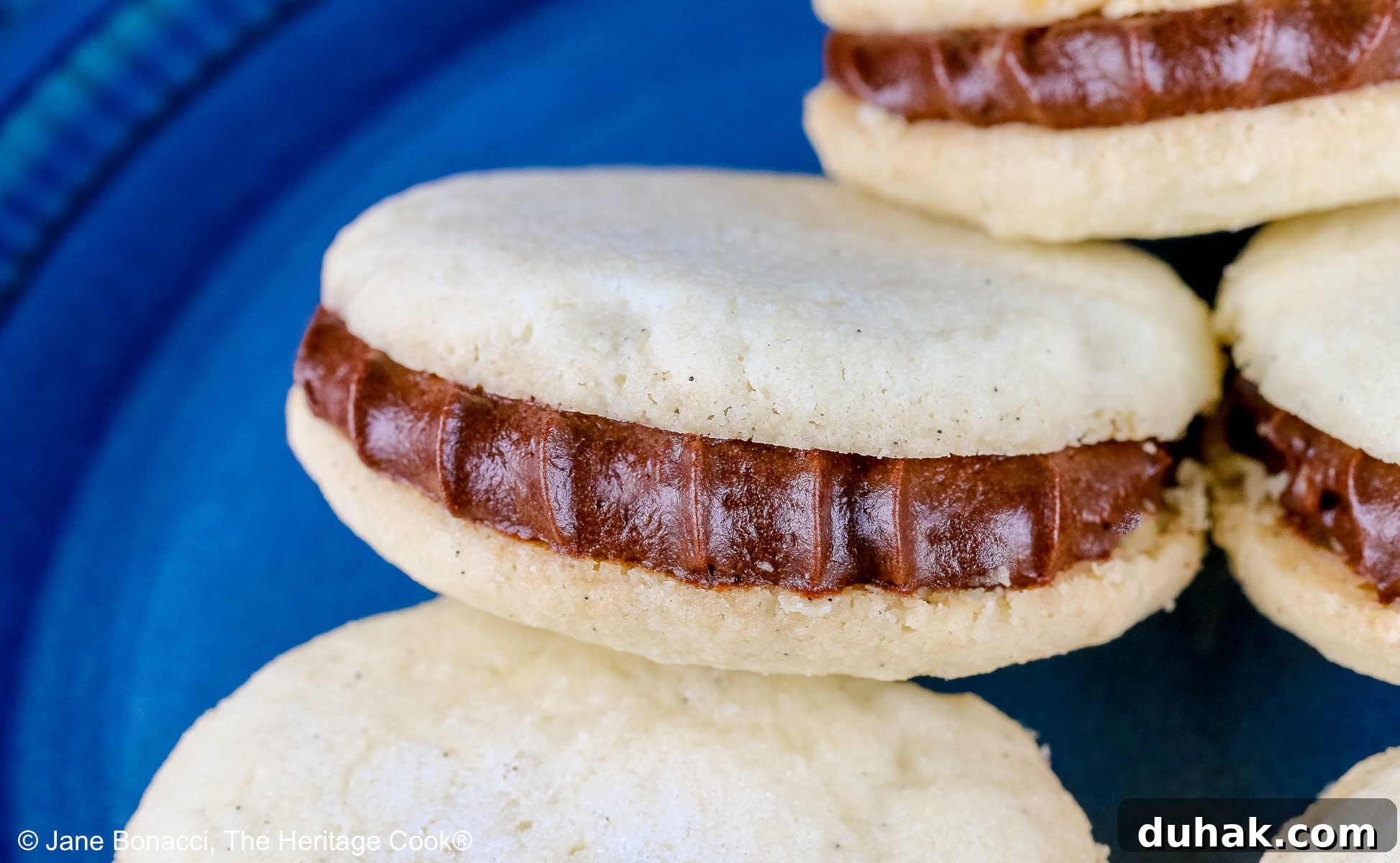 Stack of Chocolate Stuffed Vanilla Shortbread Cookies on either a white plate or blue plate on a bold blue background, the cookies staggered in a pile, the filling piped on with a star tip © 2025 Jane Bonacci, The Heritage Cook.