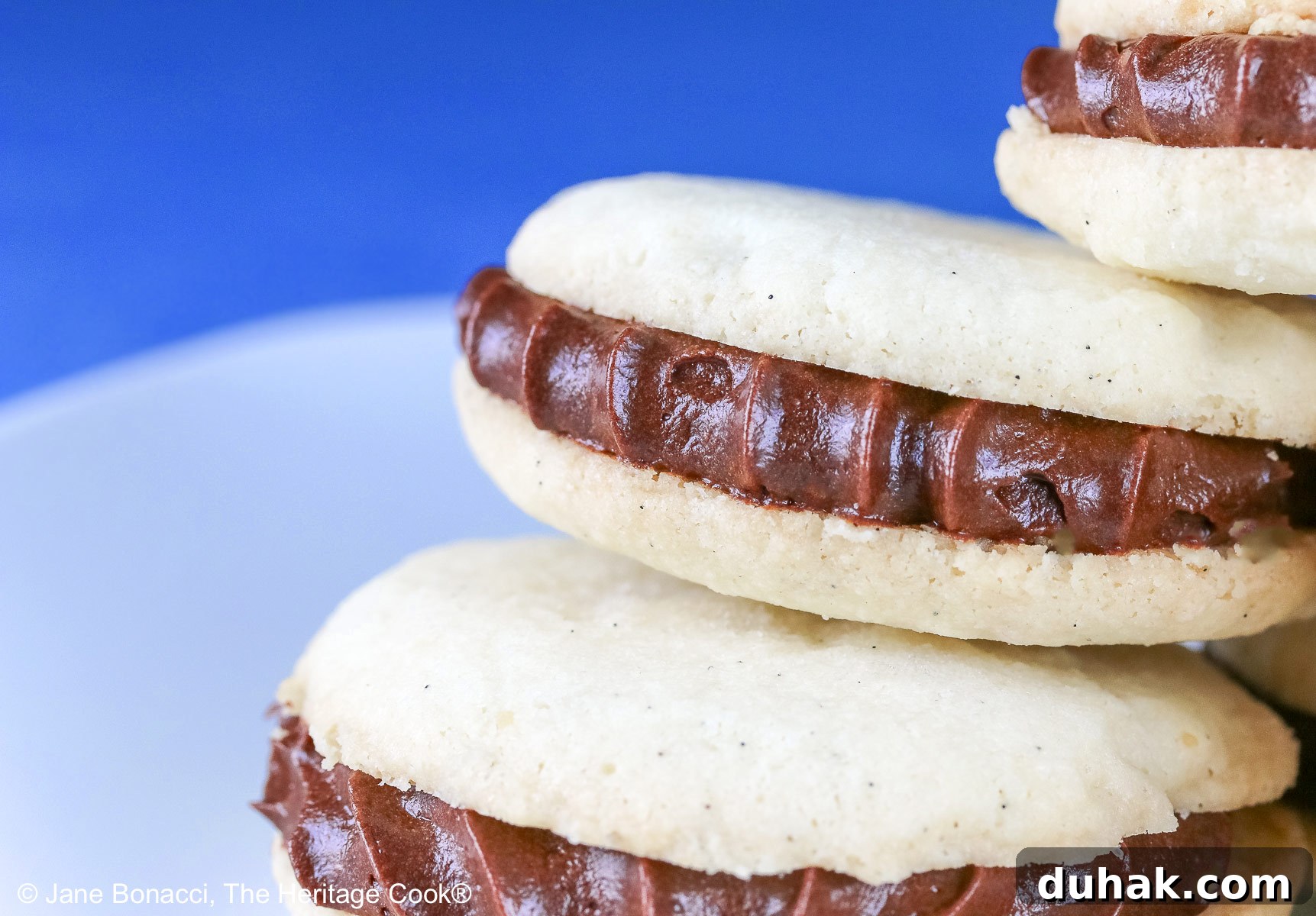 Stack of Chocolate Stuffed Vanilla Shortbread Cookies on either a white plate or blue plate on a bold blue background, the cookies staggered in a pile, the filling piped on with a star tip © 2025 Jane Bonacci, The Heritage Cook.