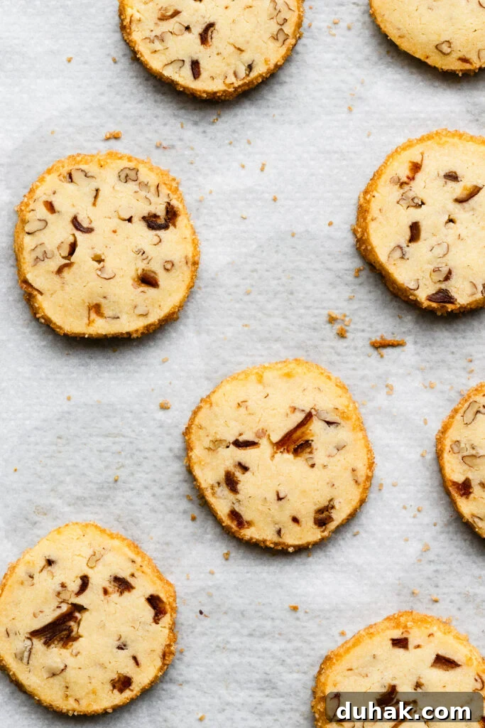 Overhead of baked shortbread cookie rounds on a baking sheet.