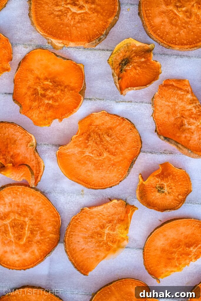 Crispy Baked Sweet Potato Chips Recipe for Snack Lovers 2 Sweet Potato Chips