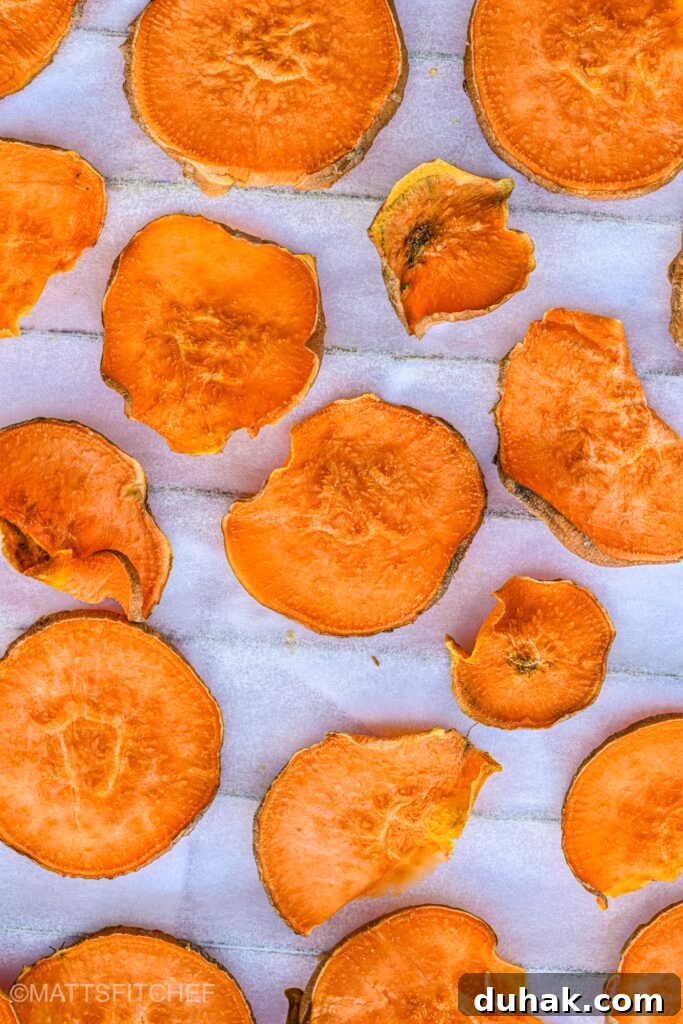 Crispy Baked Sweet Potato Chips Recipe for Snack Lovers 3 Sweet Potato Chips