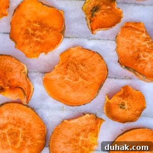 Crispy Baked Sweet Potato Chips Recipe for Snack Lovers 4 Sweet Potato Chips
