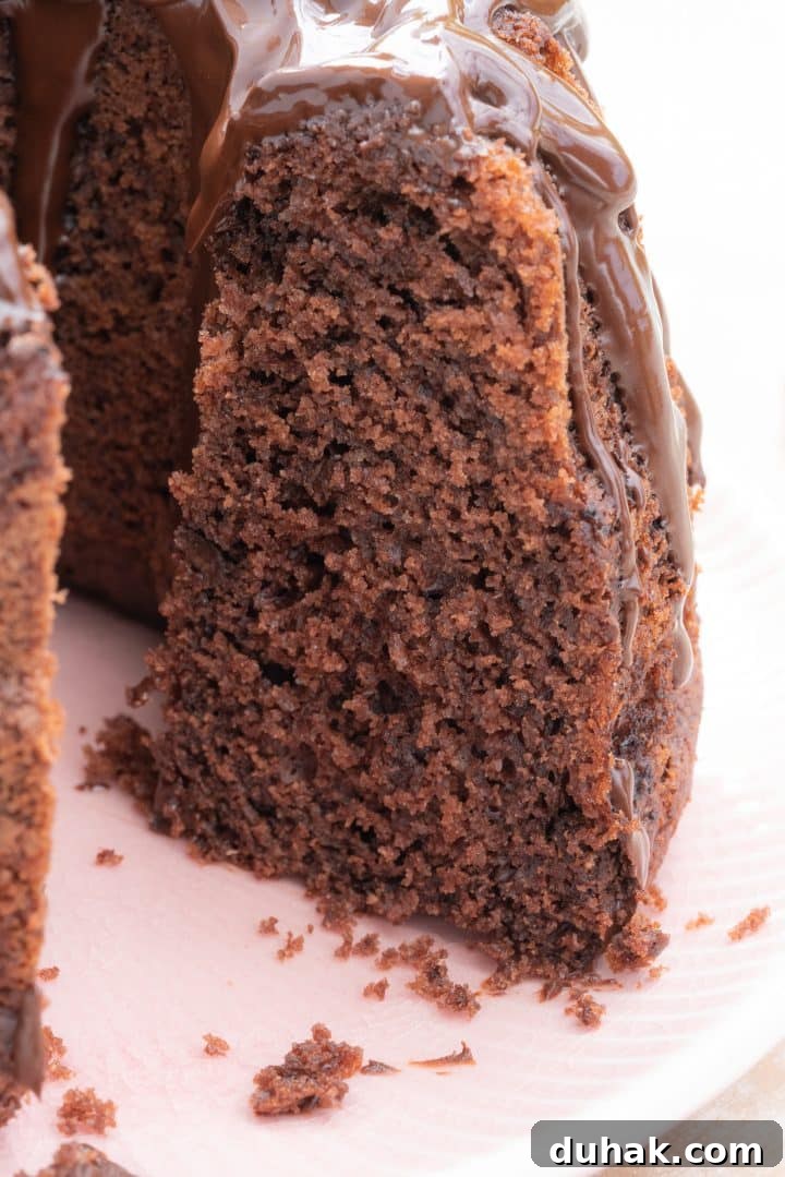 chocolate gugelhupf with oil and yogurt