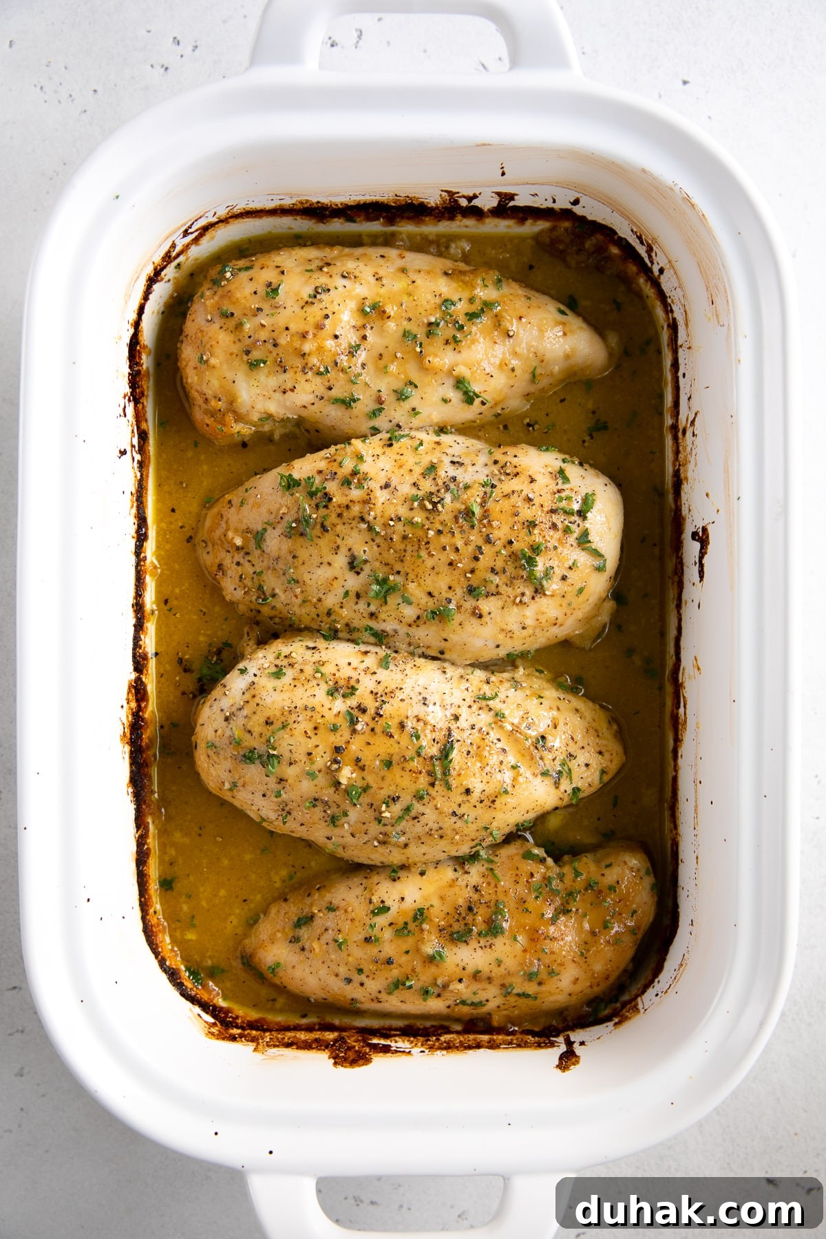 Four large chicken breasts in a white baking dish covered in honey mustard sauce and baked.