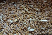 The Local Loaf: Fresh Artisan Breads from Your Neighborhood Bakery