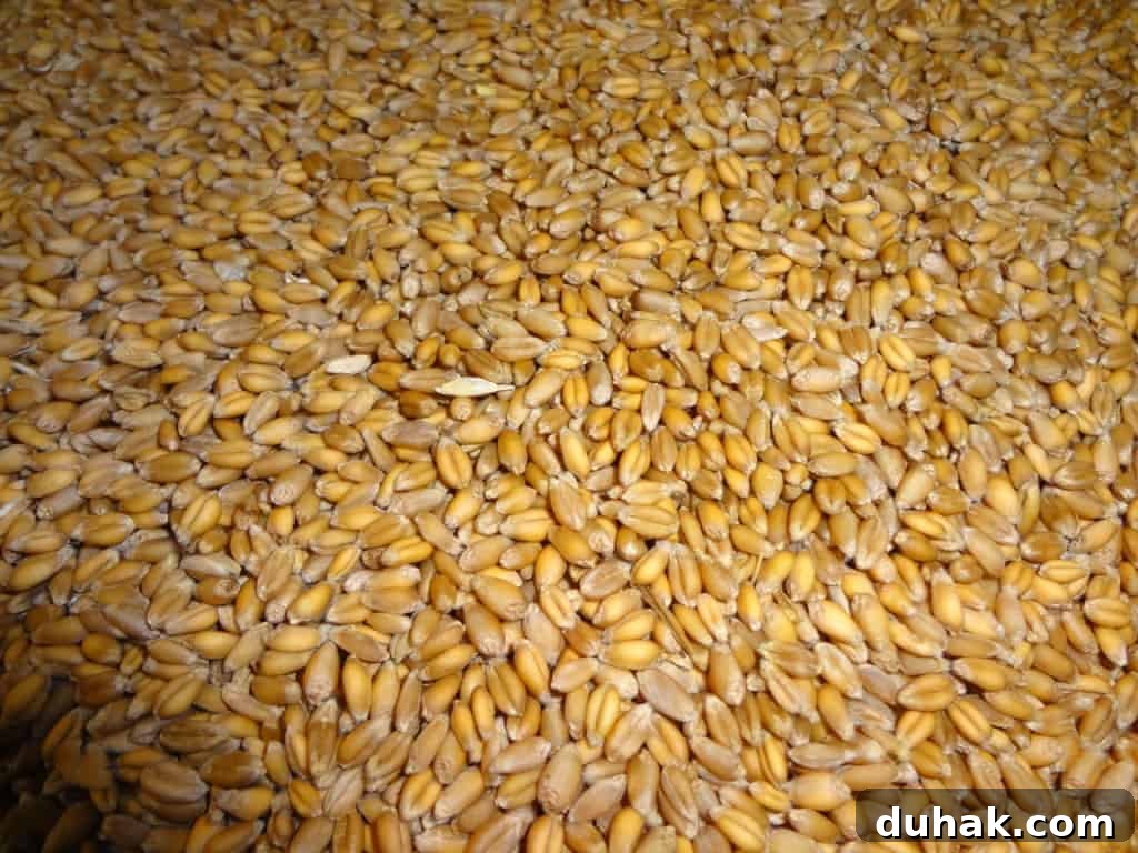 wheat cleaned by hand