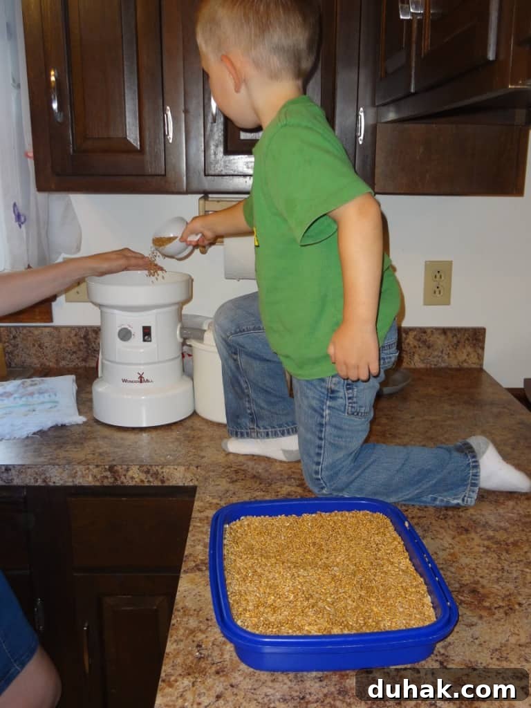 Pouring wheat into the mill