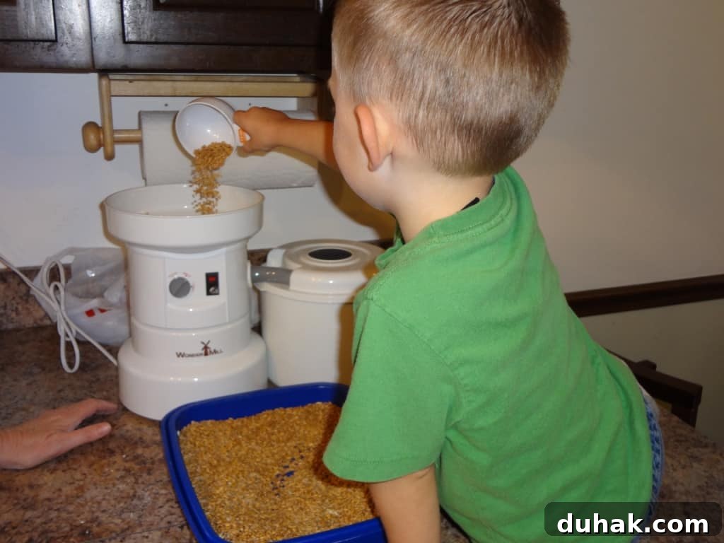 pouring wheat into flour mill