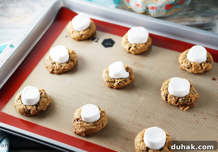 Ultimate S'mores Cookie Recipe — Crispy, Gooey Campfire Flavor 4 Soft and chewy s'mores cookies.