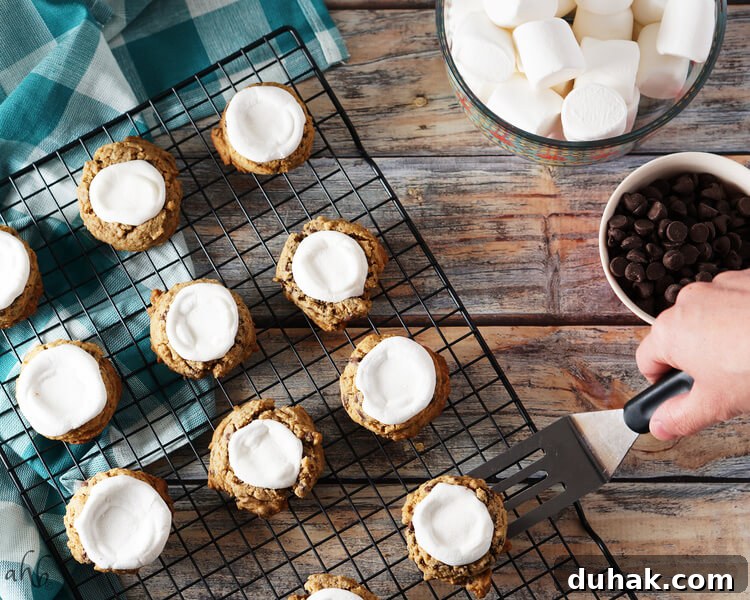 Ultimate S'mores Cookie Recipe — Crispy, Gooey Campfire Flavor 5 img 3108 4