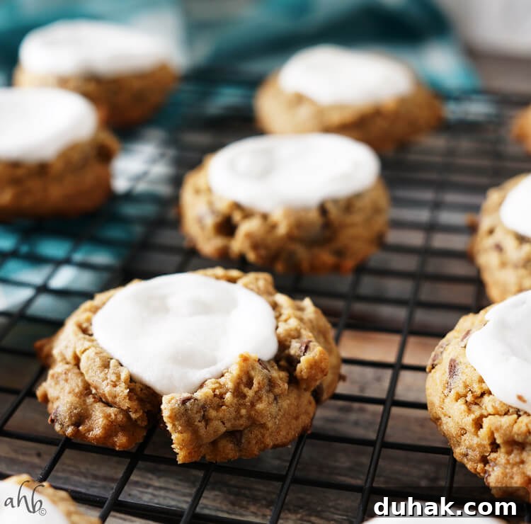 Ultimate S'mores Cookie Recipe — Crispy, Gooey Campfire Flavor 6 img 3108 5