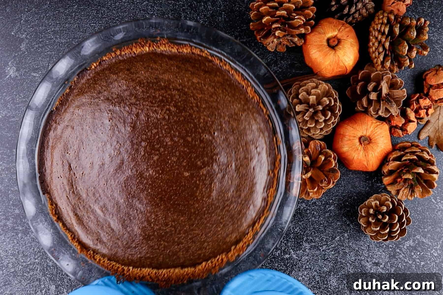 Decadent Chocolate Pumpkin Pie Recipe for Fall Desserts 13 Chocolate Pumpkin Pie just after baking with a domed top