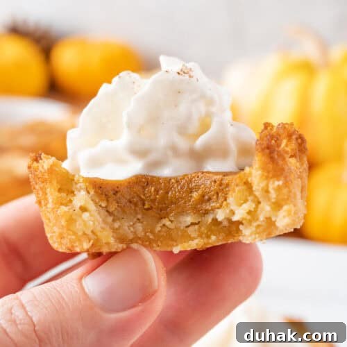 Holding a Pumpkin Pie Cookie topped with whipped cream with a bite taken out.