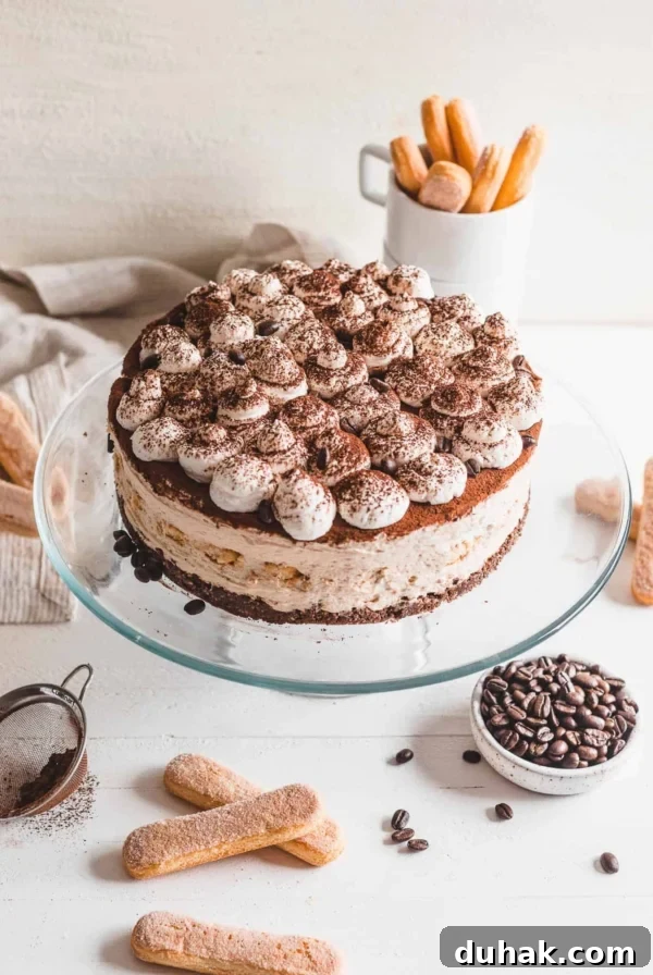 Silky Mascarpone Cheesecake Recipe with Luscious Cream Filling 11 No Bake Tiramisu Cheesecake on a cake stand with lady fingers behind it