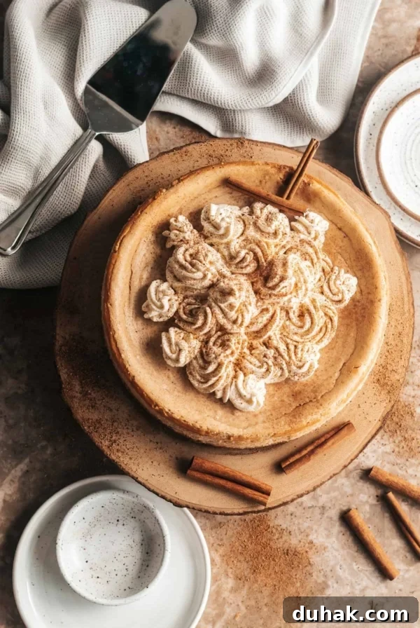 Silky Mascarpone Cheesecake Recipe with Luscious Cream Filling 10 snickerdoodle cheesecake