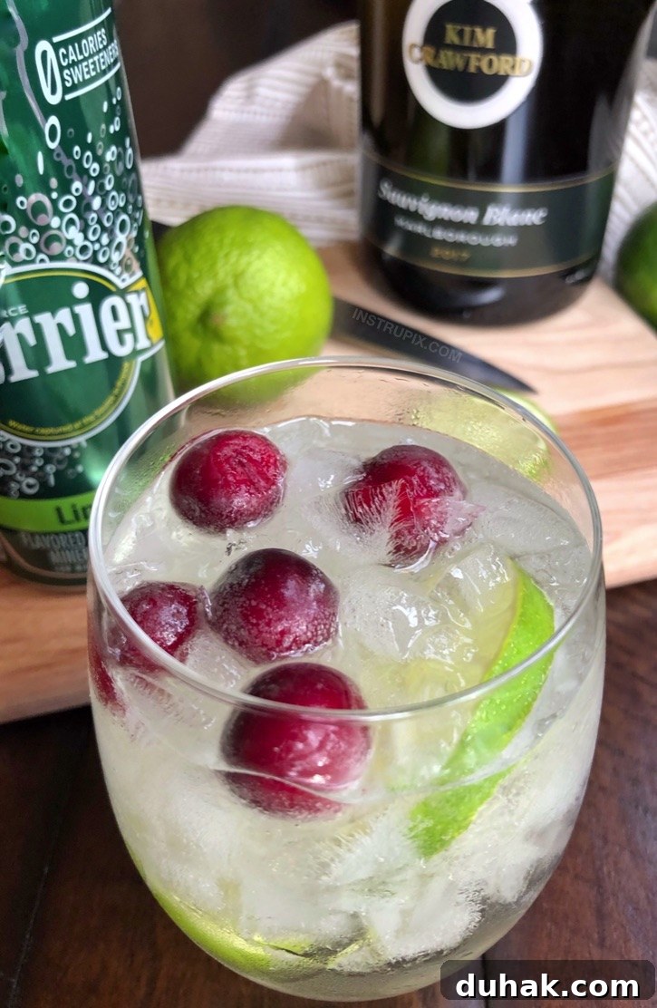 8 Surprising Ways to Enjoy Wine You Haven’t Tried 11 Wine spritzer with fruit