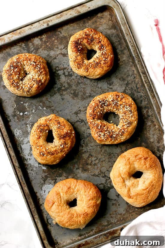Cinnamon Toast Focaccia Recipe: Crispy Sweet Breakfast Bread 8 Easy Homemade Bagels