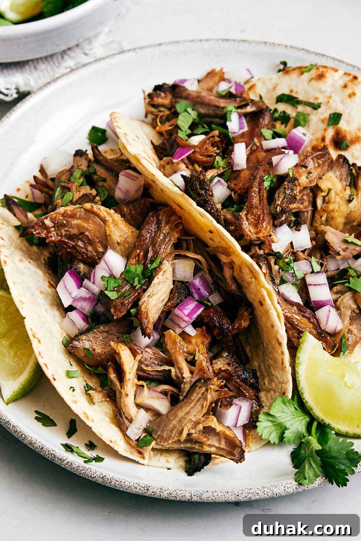Carnitas tacos featured for Mexican recipes for Cinco de Mayo.