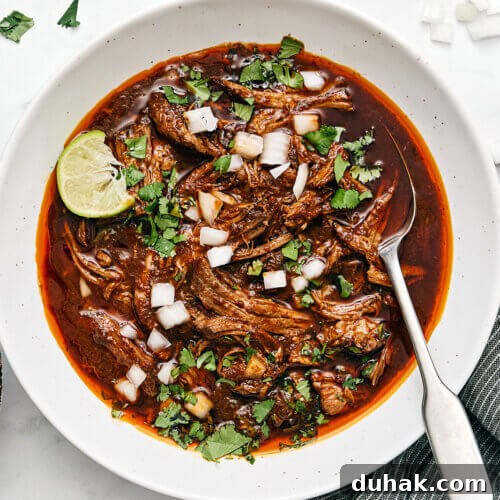 A white bowl of birria.