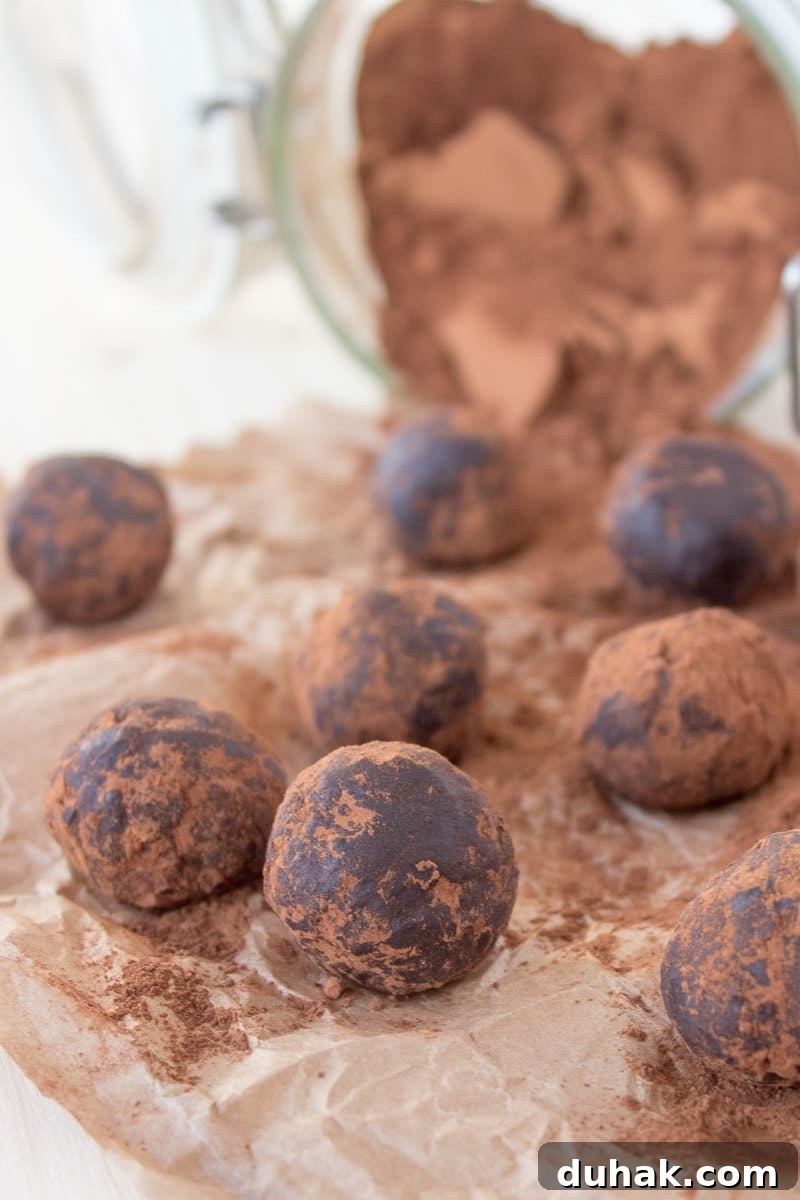 Chocolate Cinnamon Balls
