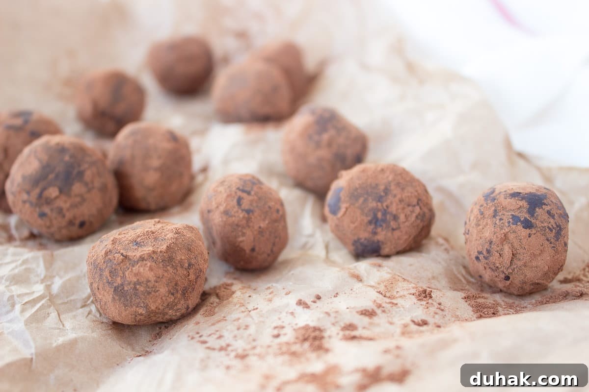 Chocolate Cinnamon Balls close-up