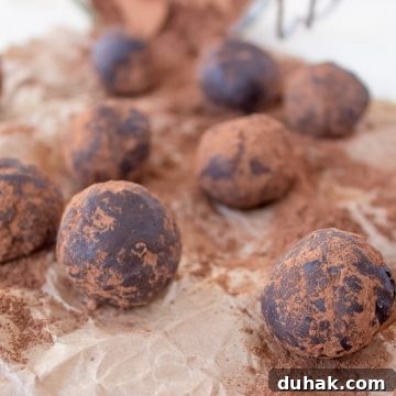 Chocolate Cinnamon Balls