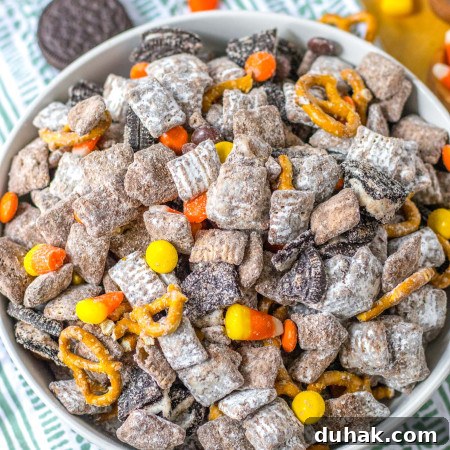 Autumn Puppy Chow Recipe: Seasonal Snack Mix for Fall 10 Fall puppy chow served in a large white bowl