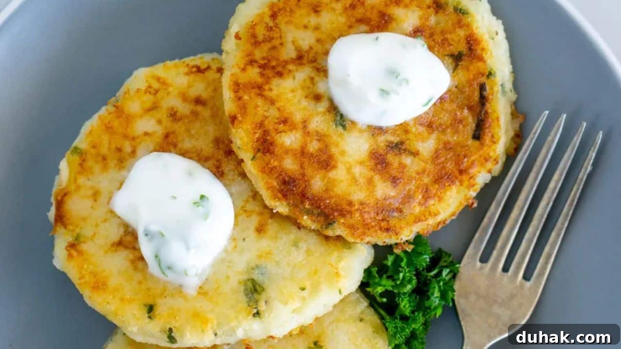 Mashed Potato Fritters