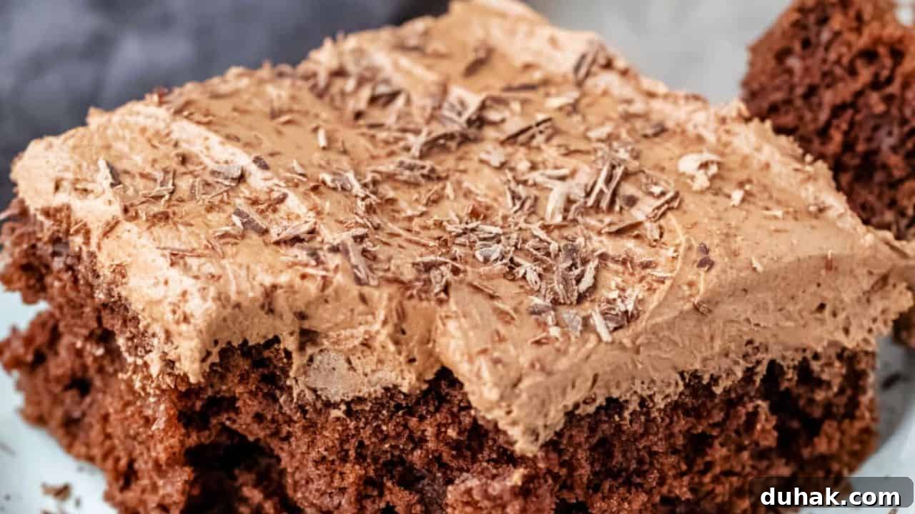 Chocolate Mashed Potato Cake