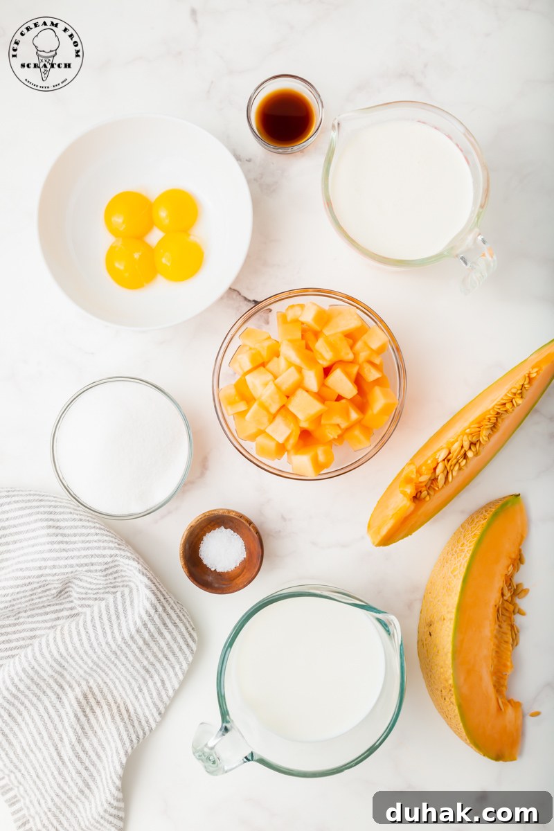Creamy Cantaloupe Ice Cream Recipe: Refreshing Summer Treat 3 The ingredients needed to make homemade ice cream with cantaloupe melon.