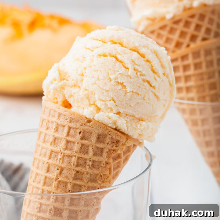 sugar cones topped with scoops of cantaloupe ice cream, propped up in glasses.