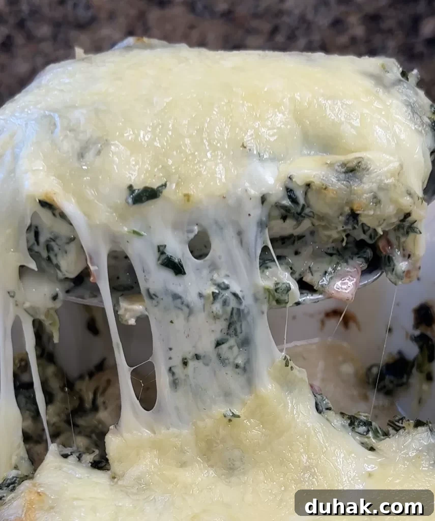 Spinach Dip-Smothered Chicken with Knorr Recipe for Creamy Flavor 2 img 3687 1