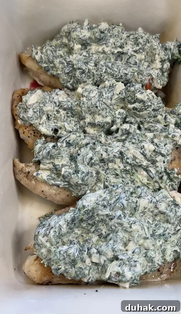 Spinach Dip-Smothered Chicken with Knorr Recipe for Creamy Flavor 11 img 3687 10