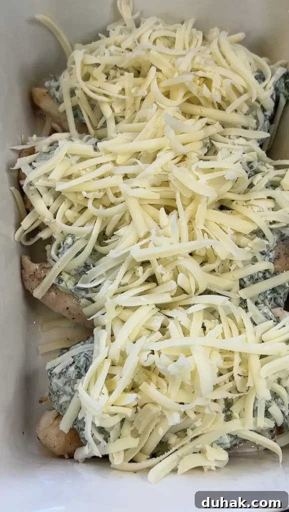 Spinach Dip-Smothered Chicken with Knorr Recipe for Creamy Flavor 12 img 3687 11