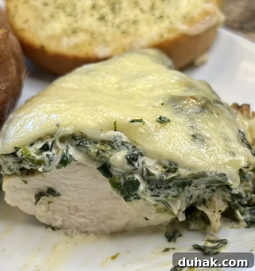 Spinach Dip-Smothered Chicken with Knorr Recipe for Creamy Flavor 13 img 3687 12