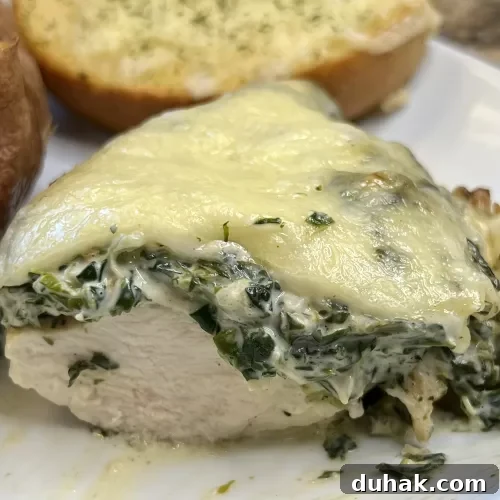 Spinach Dip-Smothered Chicken with Knorr Recipe for Creamy Flavor 15 img 3687 14