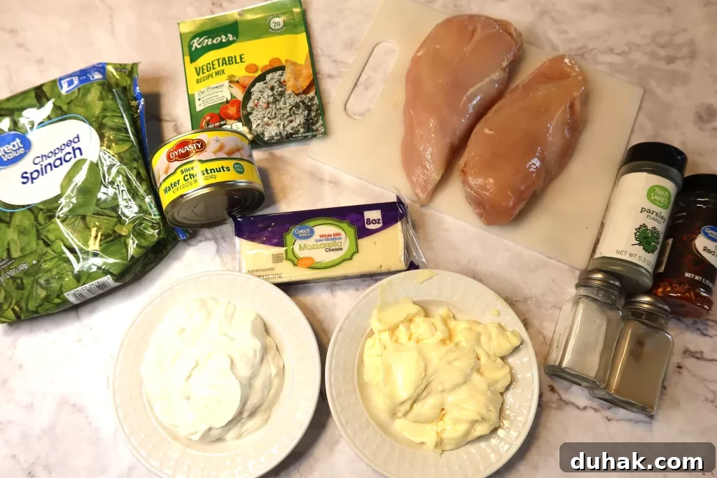 Spinach Dip-Smothered Chicken with Knorr Recipe for Creamy Flavor 3 img 3687 2
