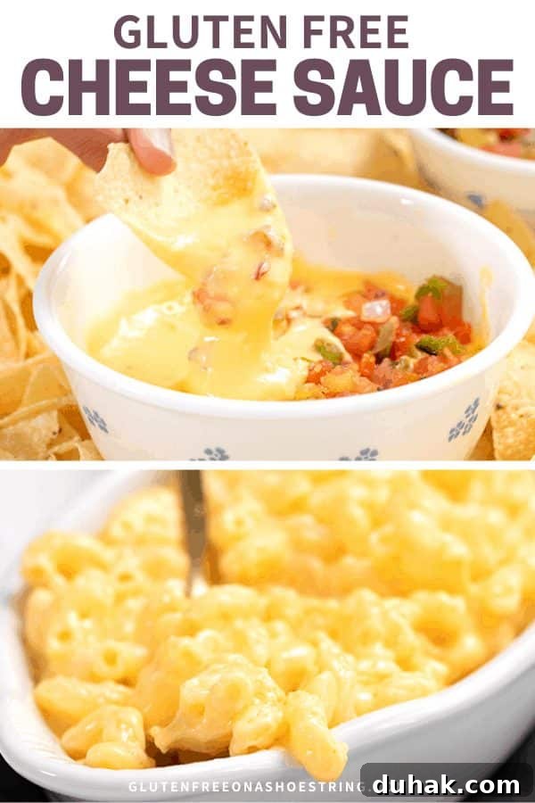 Cheese Sauce on macaroni in a long bowl and with salsa being dipping with a corn chip held by fingers