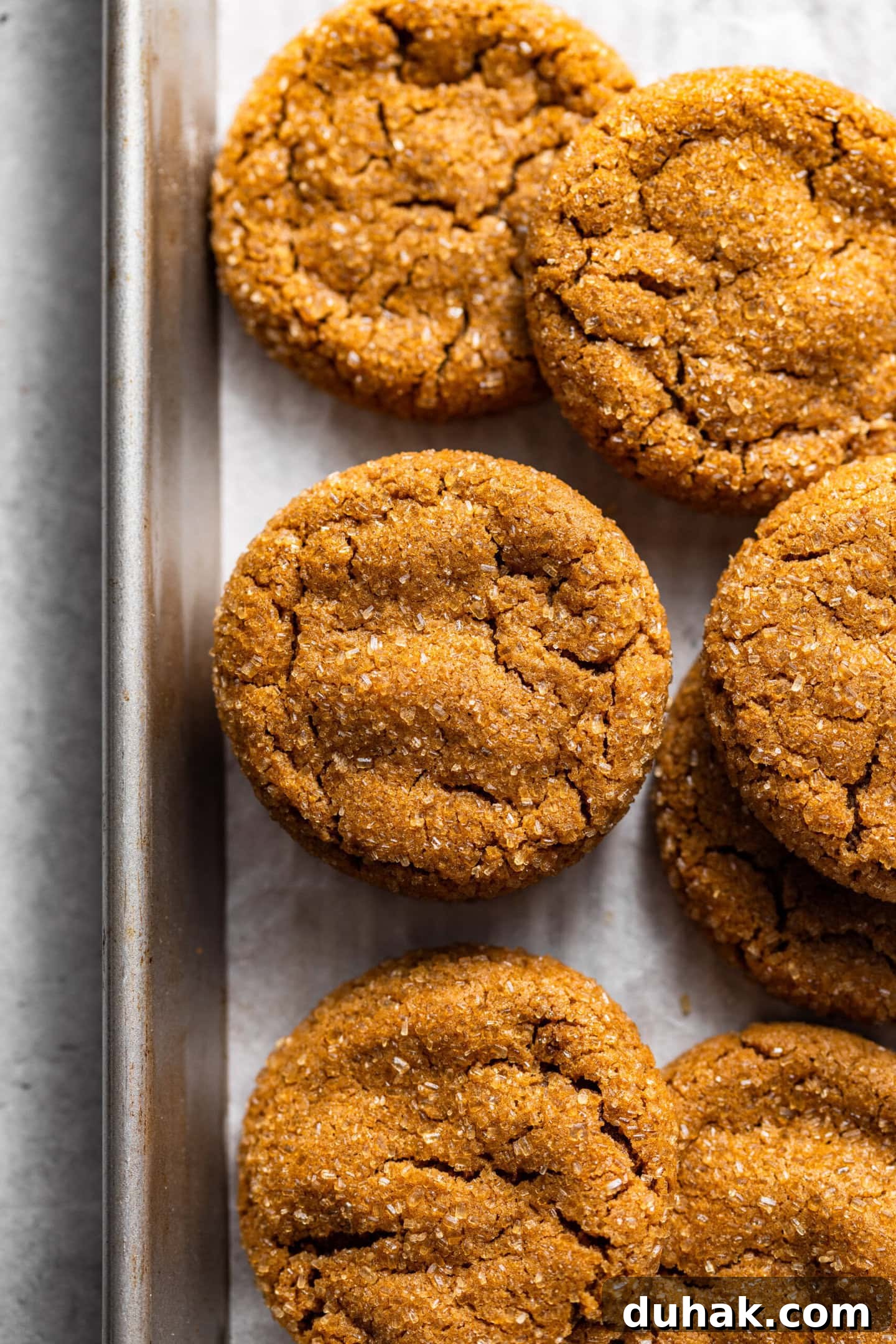 Fresh baked molasses cookies on top of a baking sheet.