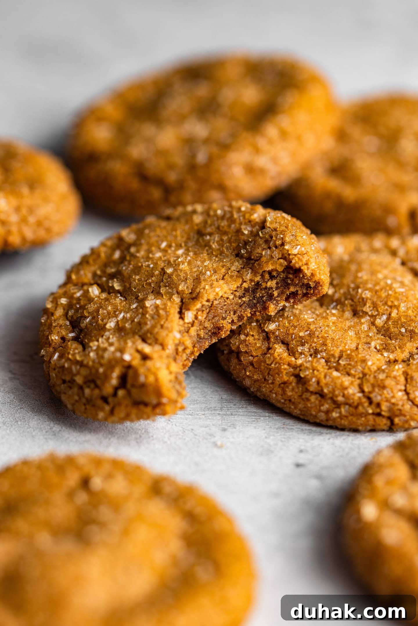 A close up of a molasses cookie with a bite missing showing its soft and chewy texture