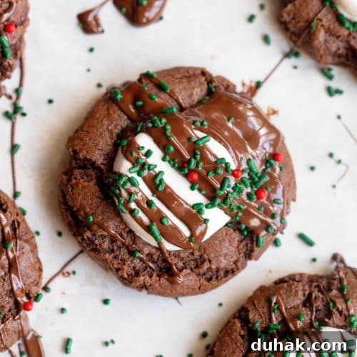 Hot Cocoa Cookies