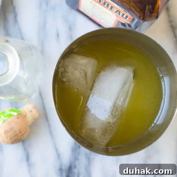 Sparkling Cara Cara Orange Margaritas — Festive Citrus Cocktail Recipe 7 juices, liquors and ice in a boston shaker.