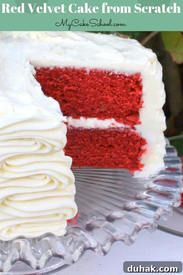 Red Velvet Cake Recipe from Scratch- This is such a moist and flavorful classic red velvet cake! Red Velvet Cake Recipe from Scratch- Super moist and delicious!