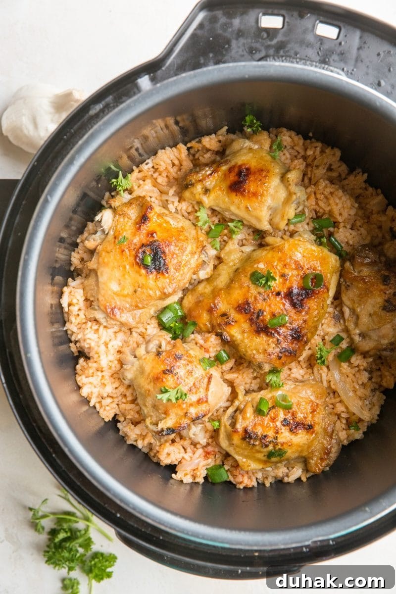 Instant Pot Chicken Spanish Rice: Flavorful One-Pot Dinner 6 Instant Pot Spanish Rice with Chicken garnished with chopped green onion.