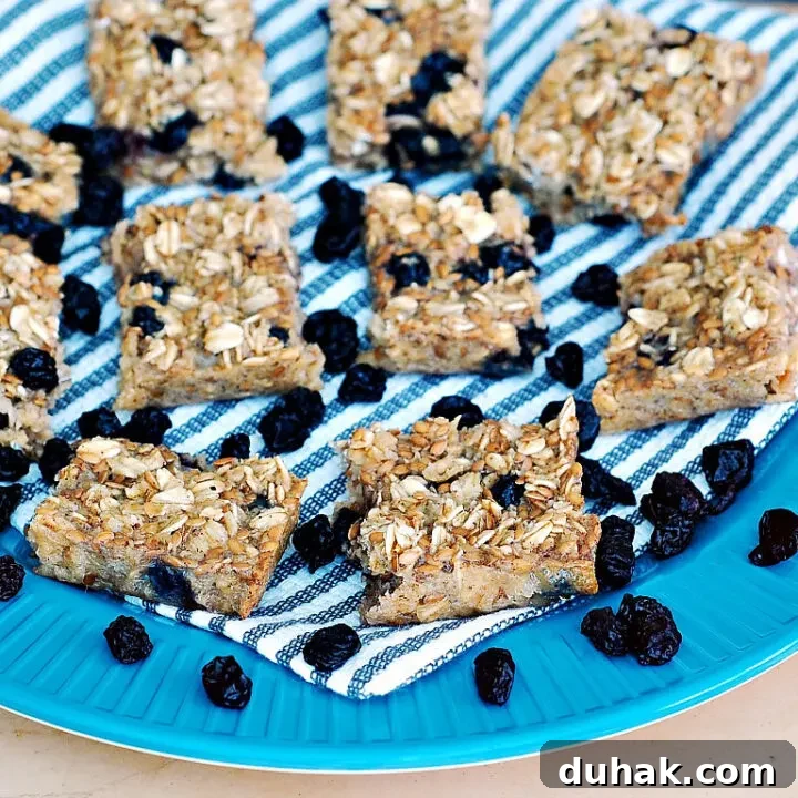 Baked Blueberry Oatmeal Bars