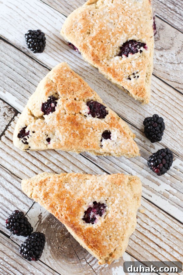 Gluten Free Vegan Blackberry Scones. Fresh blackberries, nestled into a tender fresh-baked scone.